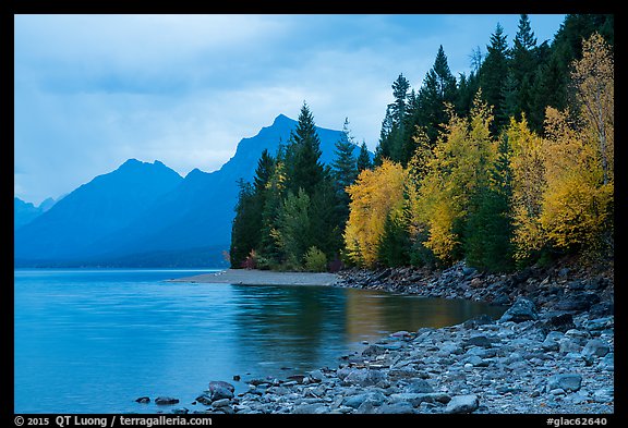 Trees in autumn color and Lake McDonald. Glacier National Park, Montana, USA.