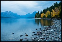 Lake McDonald shores in autum. Glacier National Park ( color)