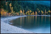 Gravel beach and trees in autun foliage, Lake McDonald. Glacier National Park ( color)