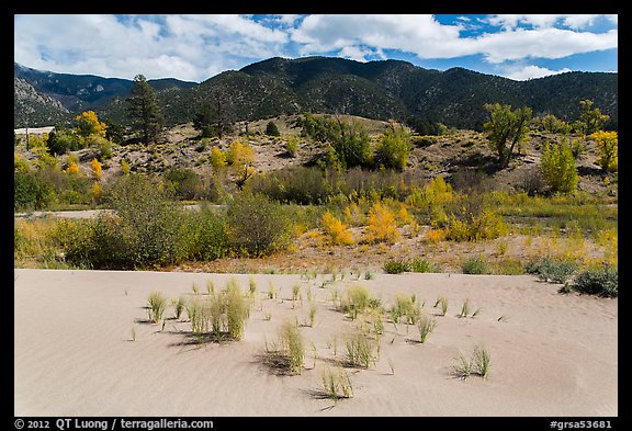 Dune sand, creek, grasslands, and mountains in autumn. Great Sand Dunes National Park and Preserve (color)