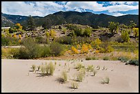 Dune sand, creek, grasslands, and mountains in autumn. Great Sand Dunes National Park and Preserve ( color)