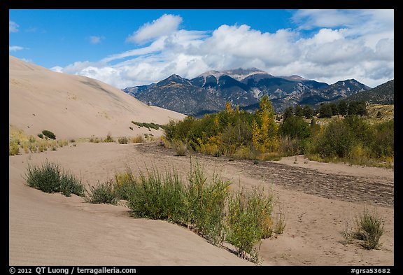 Dry Medano Creek. Great Sand Dunes National Park, Colorado, USA.