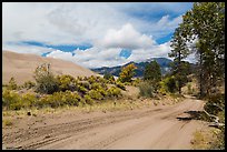 Medano Pass primitive road. Great Sand Dunes National Park and Preserve ( color)