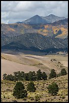 Sangre de Cristo mountains with aspen in fall foliage above dunes. Great Sand Dunes National Park and Preserve ( color)