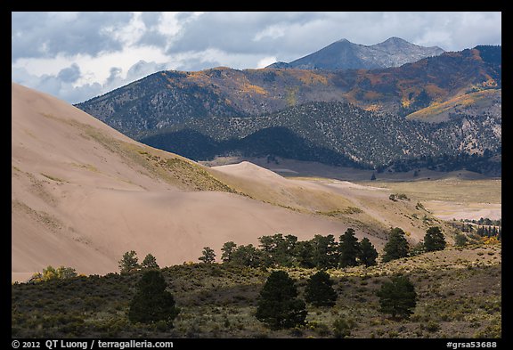 Sangre de Cristo range with bright patches of aspen above dunes. Great Sand Dunes National Park and Preserve, Colorado, USA.