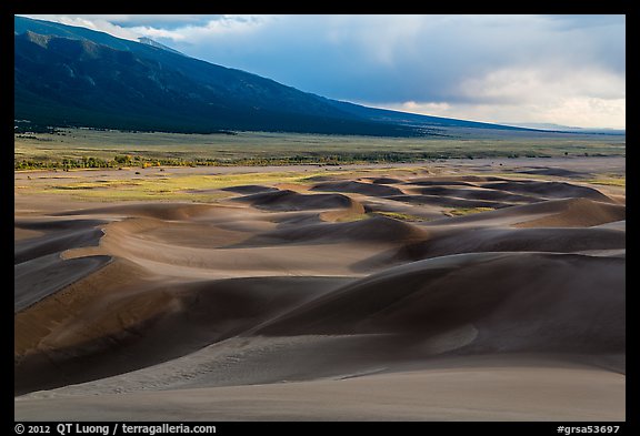 Dune field and valley, late afternoon. Great Sand Dunes National Park and Preserve, Colorado, USA.