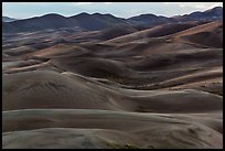 Dune ridges at dusk. Great Sand Dunes National Park and Preserve ( color)