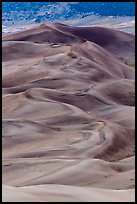 Dune field at dusk. Great Sand Dunes National Park and Preserve ( color)