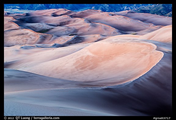 Large dune field in lilac afterglow. Great Sand Dunes National Park, Colorado, USA.