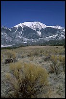 Desert-like sagebrush and snowy Sangre de Cristo Mountains. Great Sand Dunes National Park and Preserve ( color)