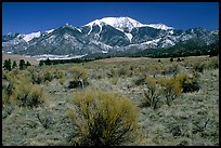 Desert-like sagebrush and snowy Sangre de Cristo Mountains. Great Sand Dunes National Park and Preserve ( color)