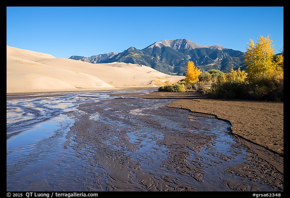 Medano Creek flowing, dunes, and trees in autumn foliage. Great Sand Dunes National Park and Preserve (color)