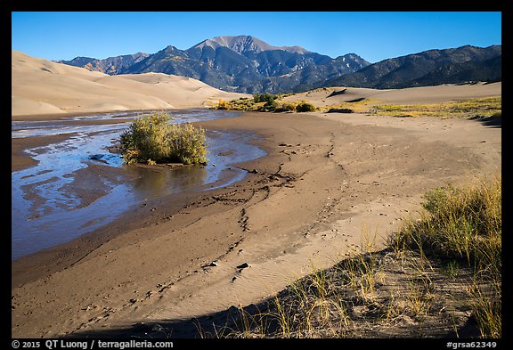 Banks of flowing Medano Creek, dunes and mountains. Great Sand Dunes National Park and Preserve (color)