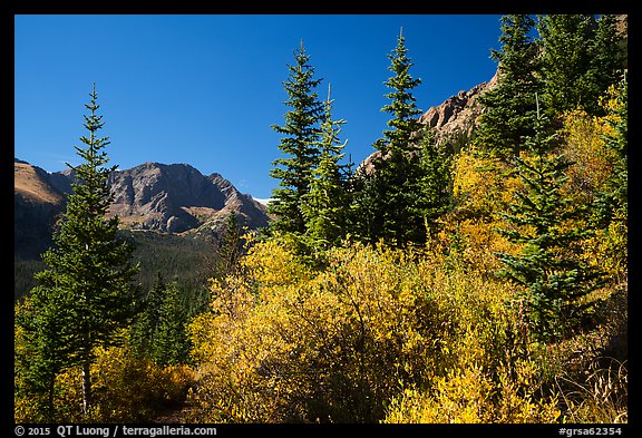 Autum foliage and Music Mountain. Great Sand Dunes National Park and Preserve, Colorado, USA.