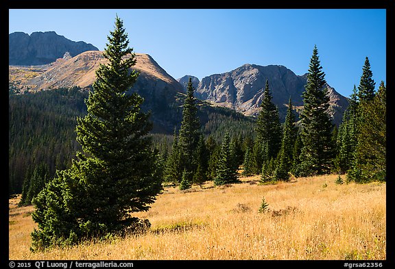 Subalpine meadow in Sand Creek Valley. Great Sand Dunes National Park and Preserve (color)