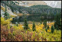 Autumn vegetation and alpine lake, Lower Sand Creek Lake. Great Sand Dunes National Park and Preserve ( color)