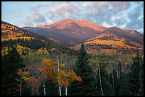 Mount Herard and autumn foliage at sunrise from Medano Pass. Great Sand Dunes National Park and Preserve ( color)