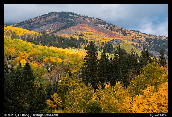Hill blow Mt Herard covered with trees in colorful autumn foliage. Great Sand Dunes National Park and Preserve, Colorado, USA.
