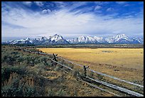 Fence and Teton range in fall. Grand Teton National Park ( color)