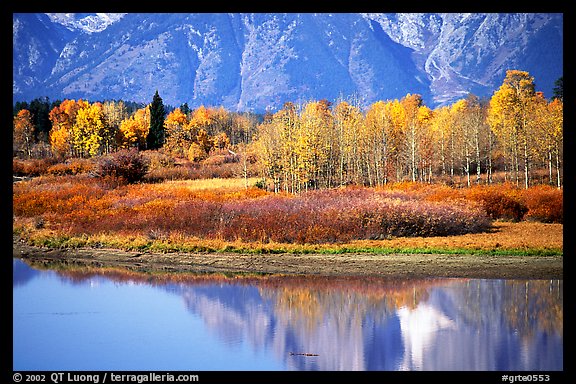 Autumn colors and reflections of Mt Moran in Oxbow bend. Grand Teton National Park (color)