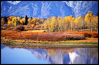 Autumn colors and reflections of Mt Moran in Oxbow bend. Grand Teton National Park, Wyoming, USA. (color)
