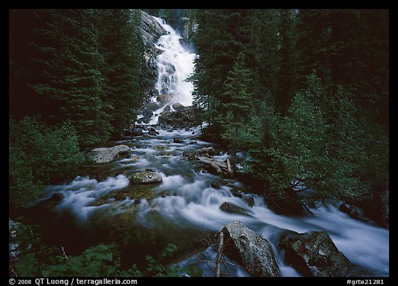 Hidden Falls, stream, and forest. Grand Teton National Park (color)