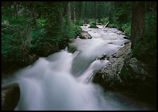 Cascade Creek and dark forest. Grand Teton National Park ( color)