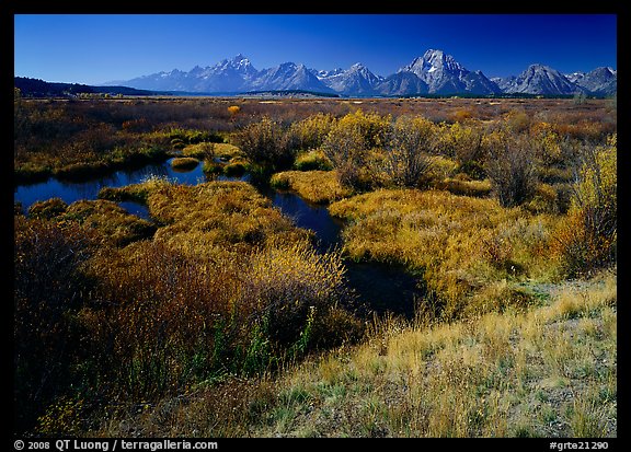 Teton range and fall colors on meadows. Grand Teton National Park (color)