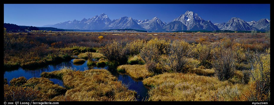 Wet meadows and mountains in the fall. Grand Teton National Park (color)