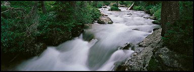 Creek flowing in forest. Grand Teton National Park (Panoramic color)