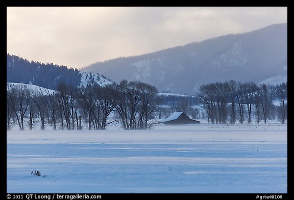 Moulton Homestead in the distance, winter. Grand Teton National Park, Wyoming, USA.