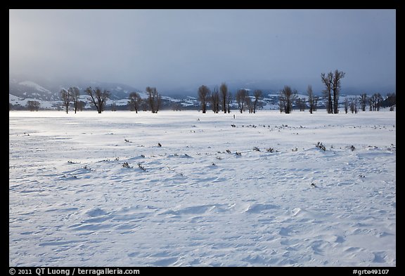Snowy Antelope flats with snowdrift. Grand Teton National Park (color)