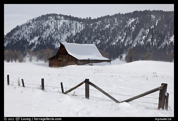 Fence and historic Moulton Barn in winter. Grand Teton National Park (color)