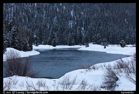 Snake River and forest covered hill in winter. Grand Teton National Park (color)