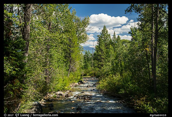 Lake Creek, Laurence S. Rockefeller Preserve. Grand Teton National Park, Wyoming, USA.