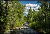 Lake Creek, Laurence S. Rockefeller Preserve. Grand Teton National Park ( color)