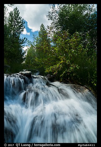 Waterfall,  Laurence S. Rockefeller Preserve. Grand Teton National Park (color)