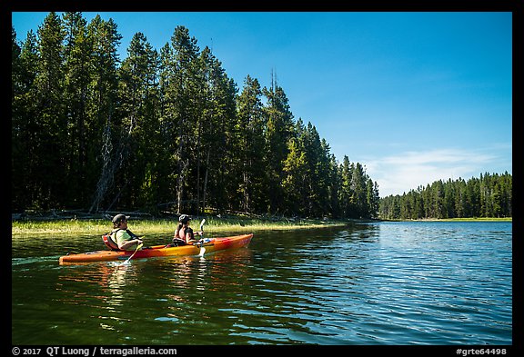 Kayakers in forested inlet, Colter Bay. Grand Teton National Park, Wyoming, USA.