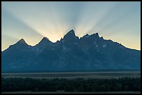 Crepuscular rays behind the Tetons. Grand Teton National Park ( color)