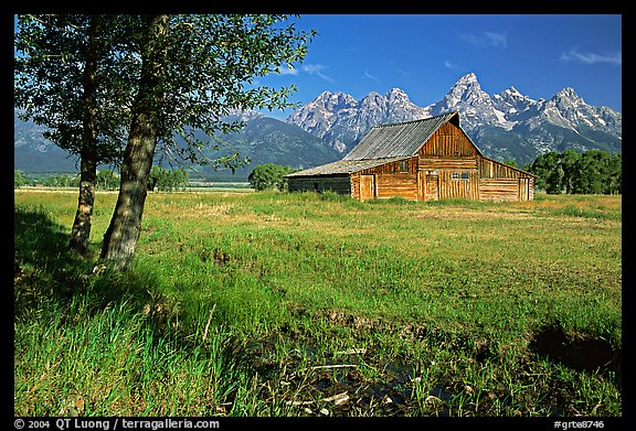 Old Barn on Mormon row, morning. Grand Teton National Park (color)