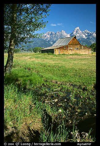Pasture and historical barn at the base of mountain range. Grand Teton National Park, Wyoming, USA.