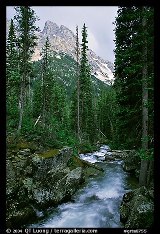 Cascade Creek and Tetons. Grand Teton National Park (color)