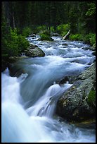 Cascade Creek flowing over rocks. Grand Teton National Park, Wyoming, USA. (color)