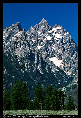 Rocky peaks of Cathedral group, morning. Grand Teton National Park (color)