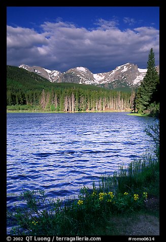 Windy morning, Sprague Lake. Rocky Mountain National Park (color)