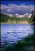 Windy morning, Sprague Lake. Rocky Mountain National Park, Colorado, USA. (color)