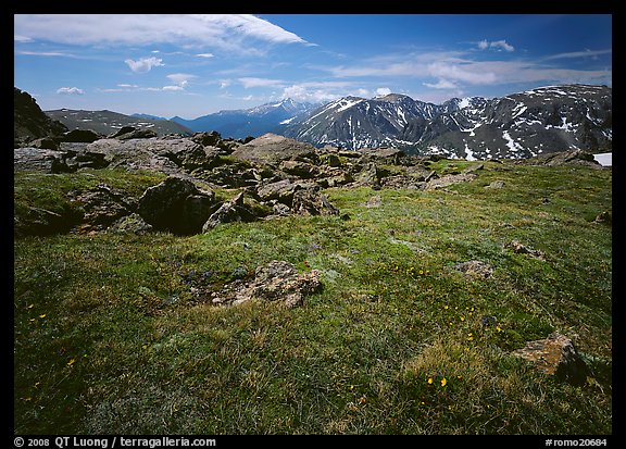 Alpine tundra near Trail Ridge Road in summer. Rocky Mountain National Park (color)