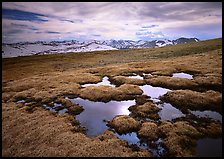 Alpine tundra and the Never Summer range in autumn. Rocky Mountain National Park, Colorado, USA.