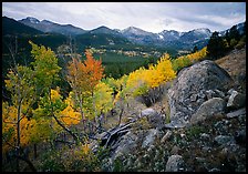 Aspens and mountain range in Glacier basin. Rocky Mountain National Park, Colorado, USA.