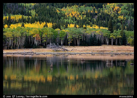 Mixed trees and  reflections. Rocky Mountain National Park, Colorado, USA.